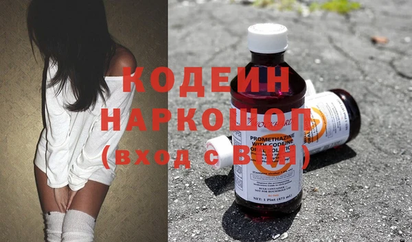 индика Алексин