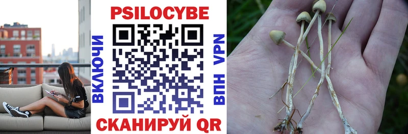 что такое   Янаул  Псилоцибиновые грибы GOLDEN TEACHER 